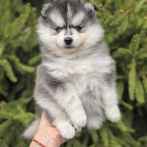 luna